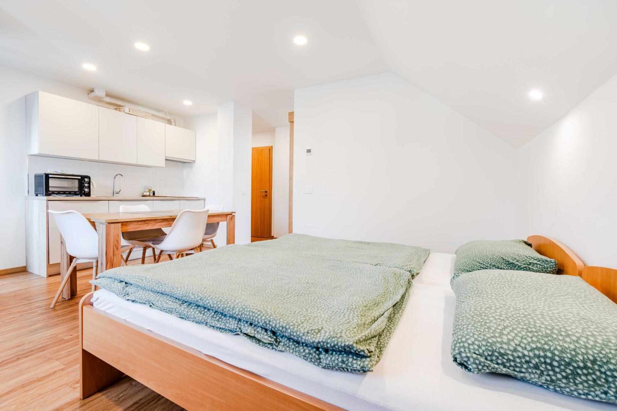 Skok With Rafting And Free Parking Guest house Bovec